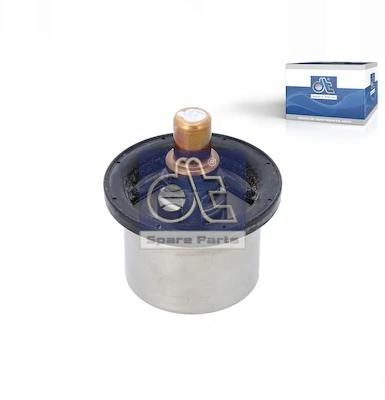 Thermostat, coolant